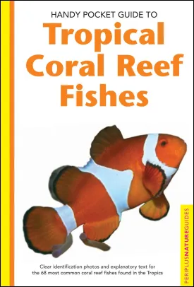 Handy Pocket Guide to Tropical Coral Reef Fishes (Handy Pocket Guides) Paperback  Illustrated, September 15, 2004