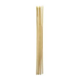 Roasting Sticks