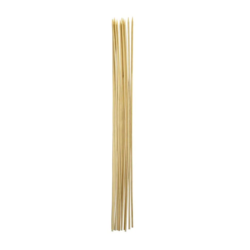 Roasting Sticks